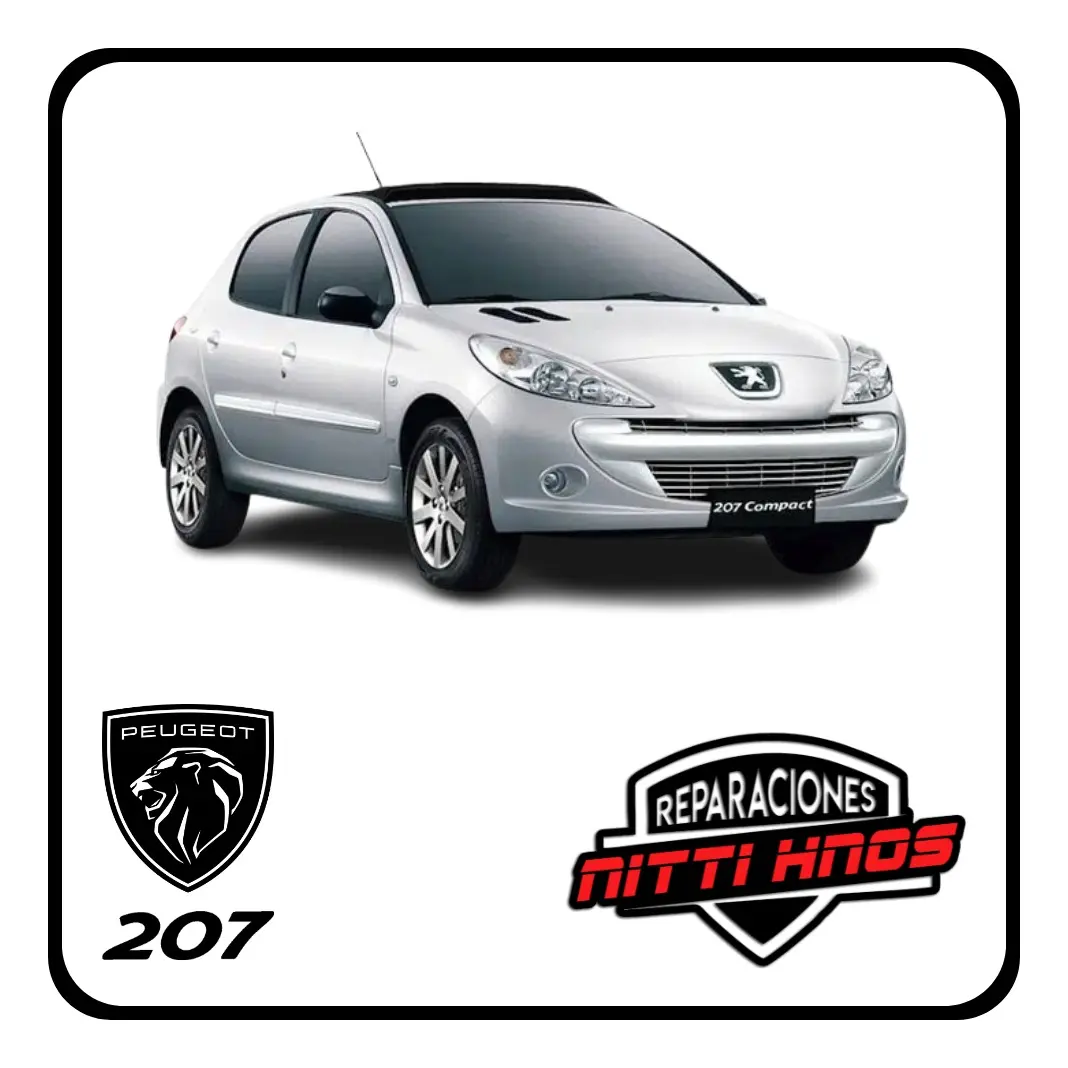 Juego Pico Rociador Sapito Peugeot 206/207 99/ - 2