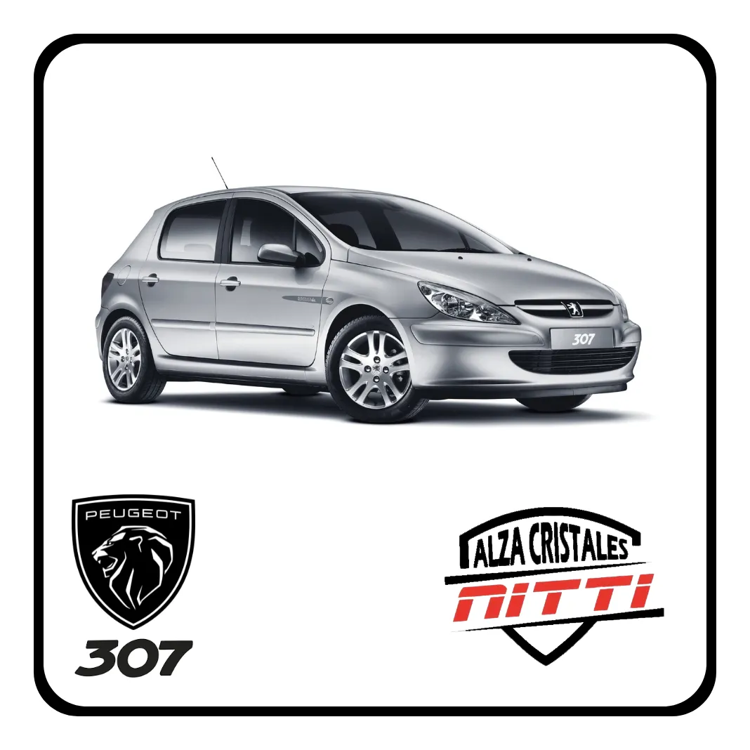 Funda Palanca De Cambio Peugeot 307 2001/2012 - 5