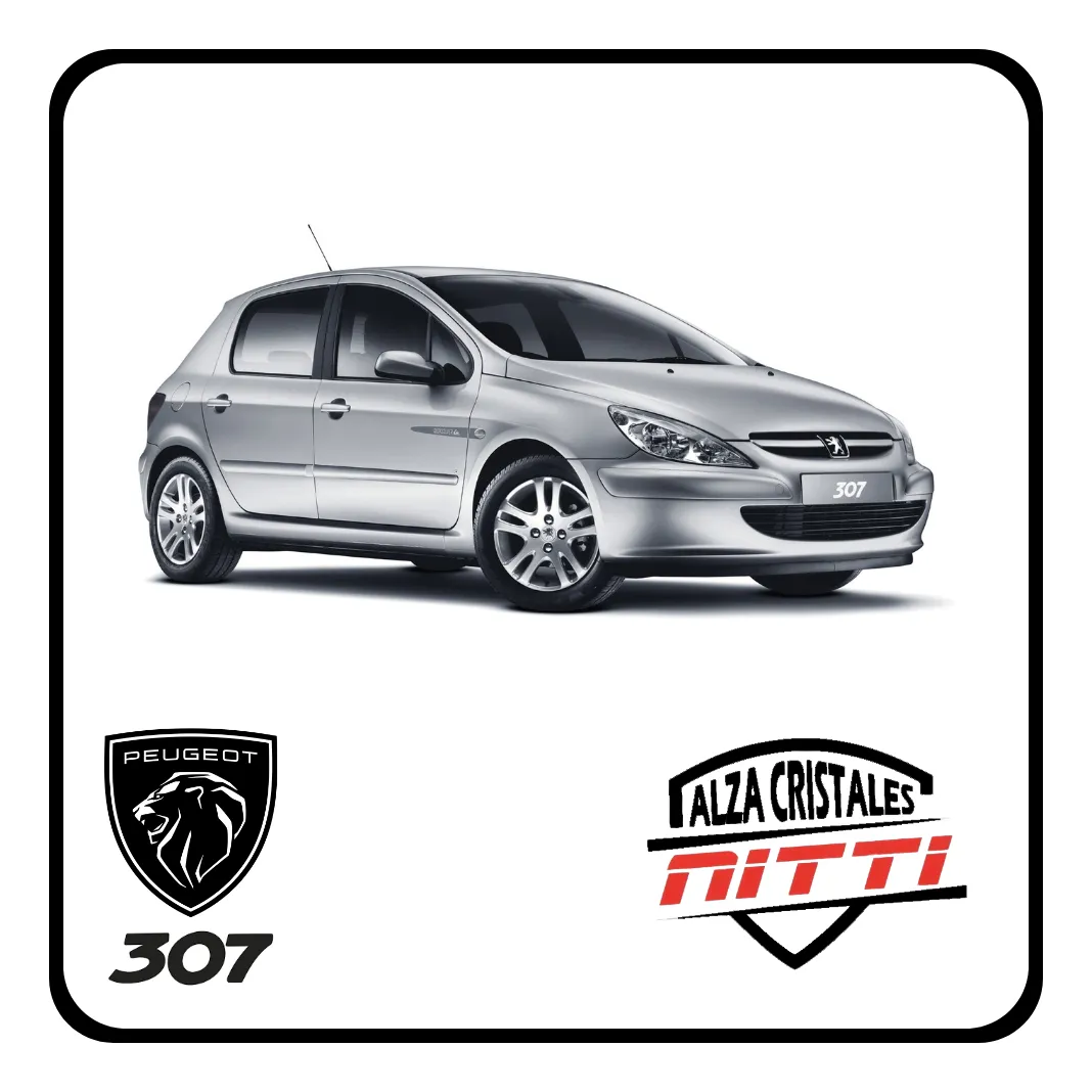 Bocha Palanca De Cambio Peugeot Partner / 207 / 307 / 301 - 5