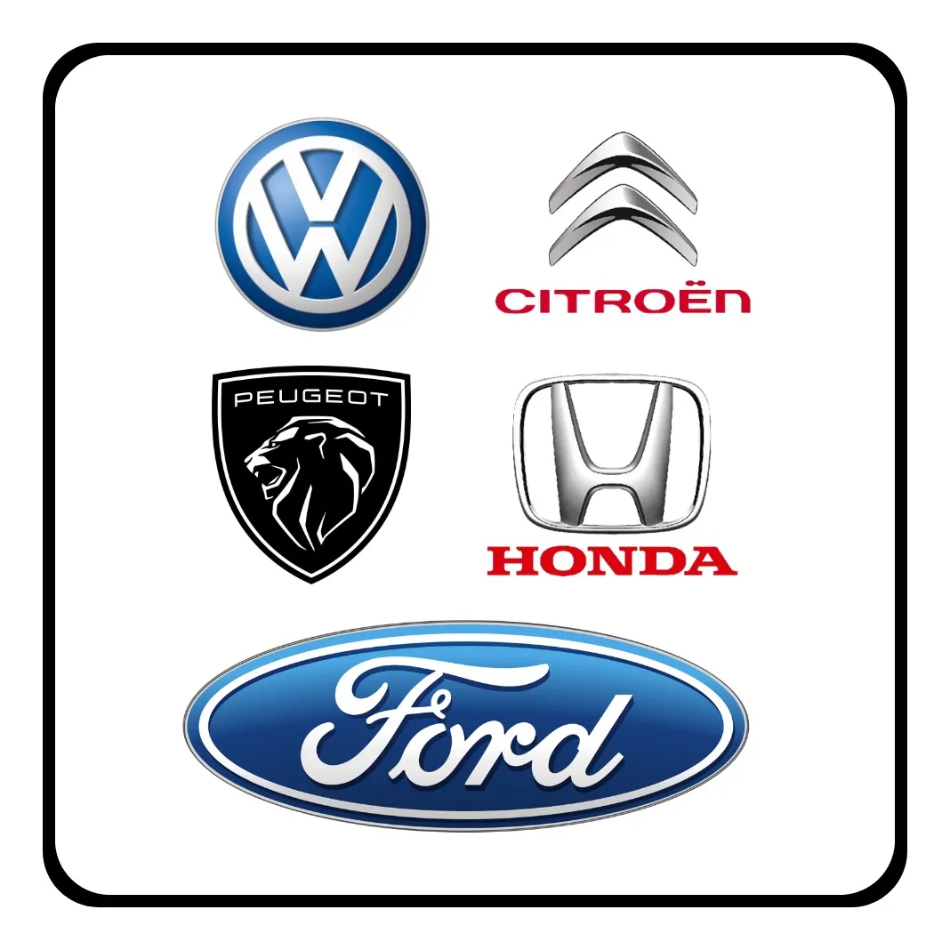 Juego Pipetas P/ Levantavidrio Vw/citroen/peugeot/ford/honda - 2